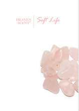 Load image into Gallery viewer, Soft Life (Coconut Milk • Vanilla)